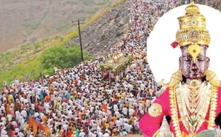 वारी होईपर्यंत VIP लोकांना आमच्यासारखे दर्शन रांगेत पाठवा; पंढरपुरात भाविक संतप्त