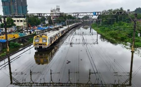 मंत्री, आमदार, कर्मचारी अडकले; दोन्ही सभागृहांचे कामकाज स्थगित