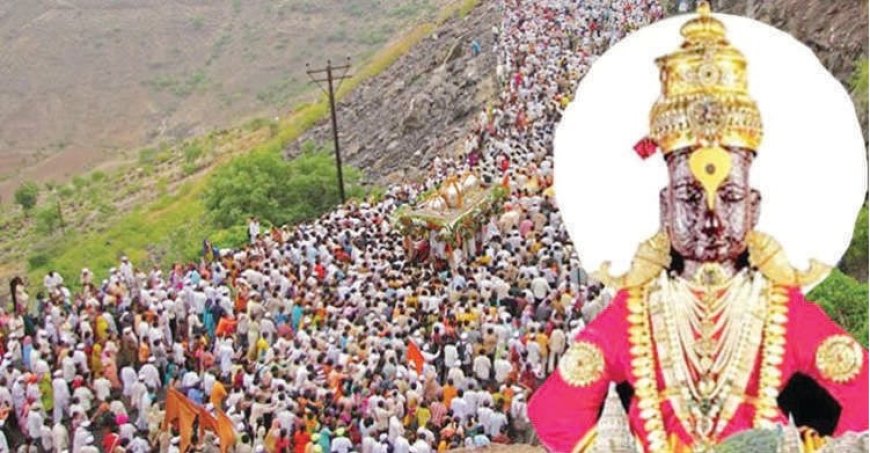 वारी होईपर्यंत VIP लोकांना आमच्यासारखे दर्शन रांगेत पाठवा; पंढरपुरात भाविक संतप्त