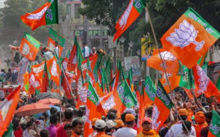 'दादा'गिरी  कोणाचीही खपवून घेणार  नाही!