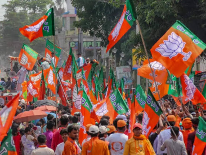 'दादा'गिरी कोणाचीही खपवून घेणार नाही!