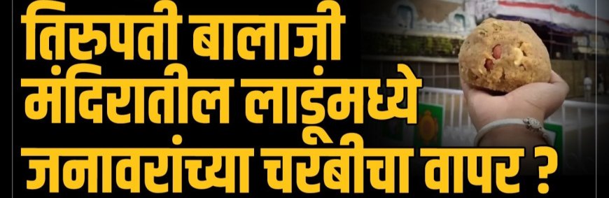 धक्कादायक : तिरूपती मंदिरातील प्रसादात जनावरांची चरबी वापरली जात आसल्याचा गंभीर आराेप