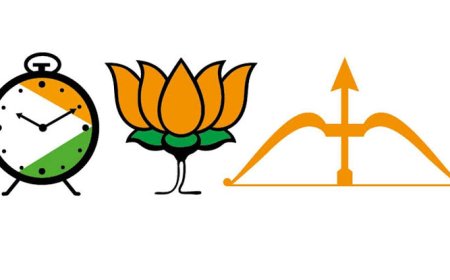 महायुतीचे महासमन्वयक जाहीर