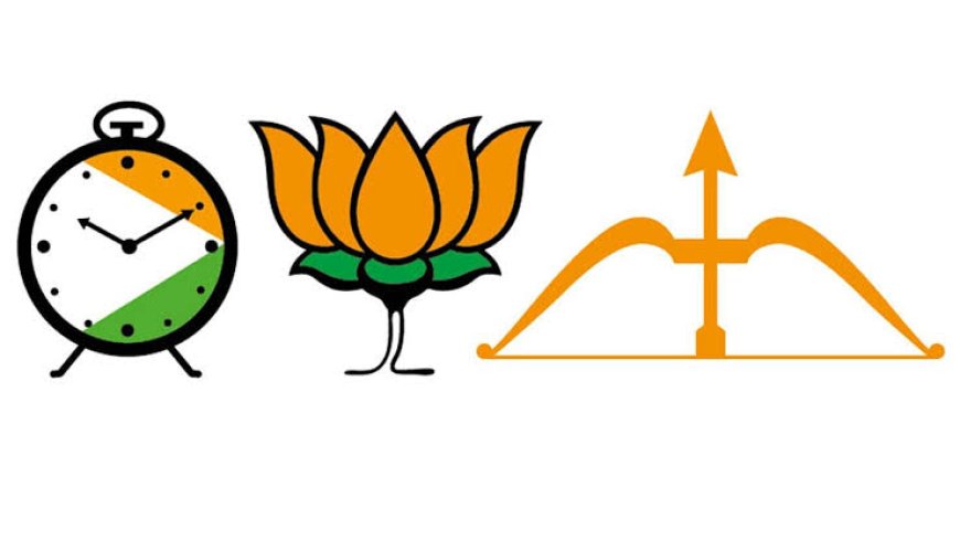 महायुतीचे महासमन्वयक जाहीर
