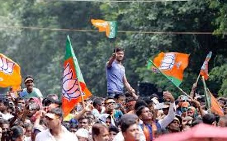 भाजपा यांचेही लाड पुरवणार?