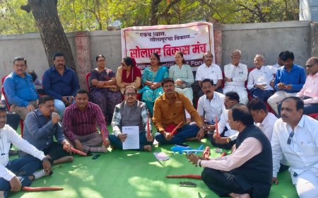 सोलापूर विमानसेवेचे गाजर