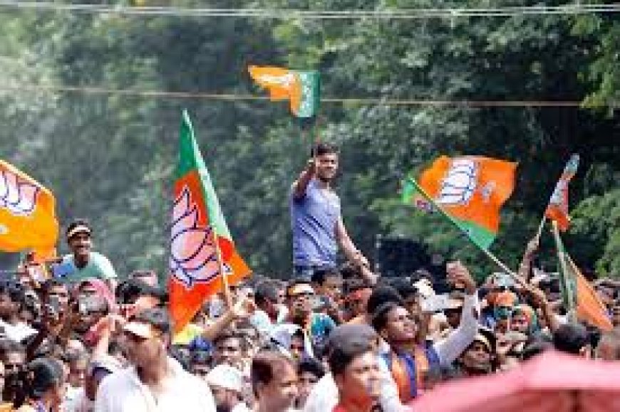 भाजपाचं "माधव" पॅटर्न सक्सेस