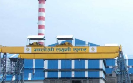 म्हेत्रेे आणि शिंदे परिवाराच्या प्रॉपर्टीचा ताबा;*पंजाब बँकेची कारवाई