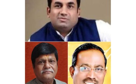 ...म्हणून वाले, सपाटे, कोठे परिवाराचा हा पॅटर्न!