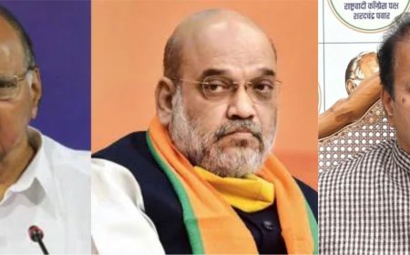 तडीपार, दगाबाज आणि भाकरी