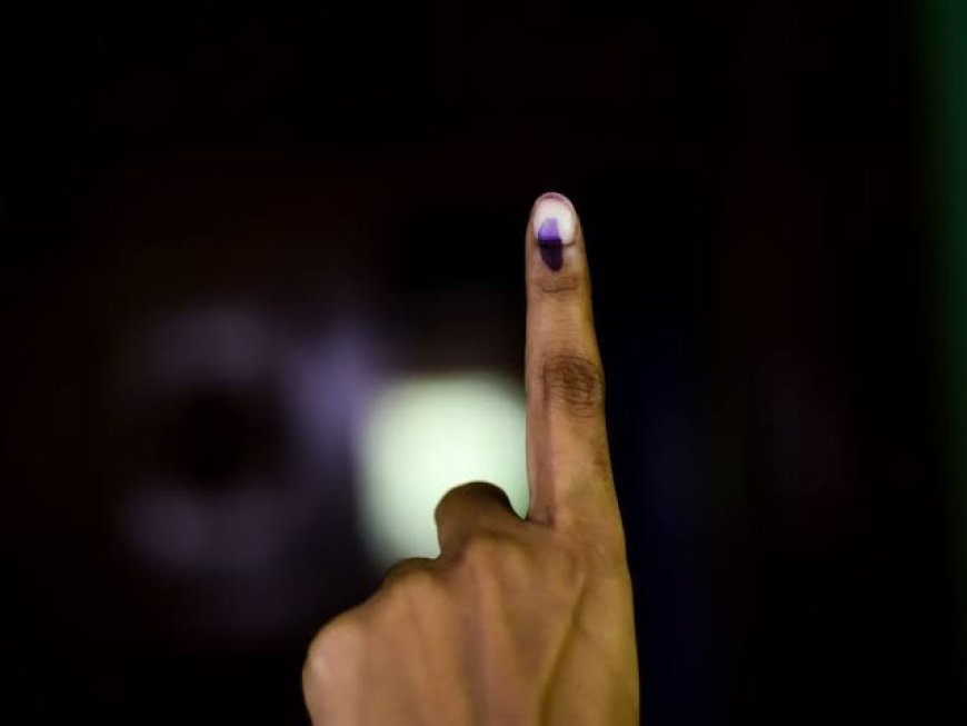 नवीन वर्षात निवडणुकांची दंगल