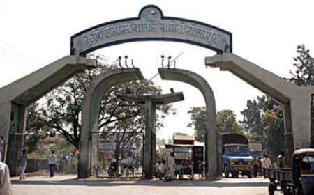 चार आमदार असूनही भाजपाला मिळणार फक्त दक्षिणा