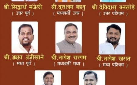 भाजपाचे सोशल इंजिनिअरिंग! पण आमदारांचीच राखली मर्जी...