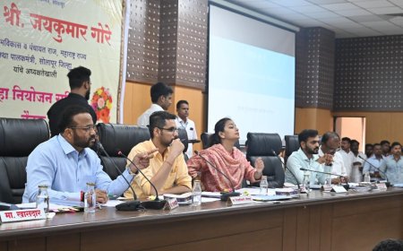 आरटीओच्या रेटकार्डची 'डीपीसी'त चर्चा