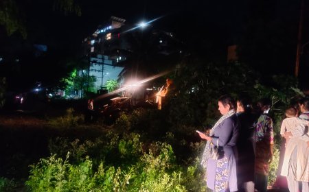 नगरसेविका चव्हाण यांती तत्परता, गोमातेचे वाचले प्राण