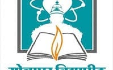 युवा महोत्सवामुळे विद्यापीठाची परीक्षा लांबणीवर ; गुरुवारी  निर्णय