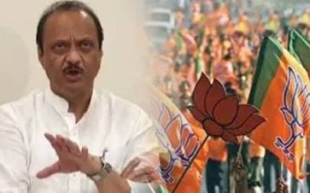 पश्‍चिम महाराष्ट्रातील भाजपा नेता दादांनी फोडला