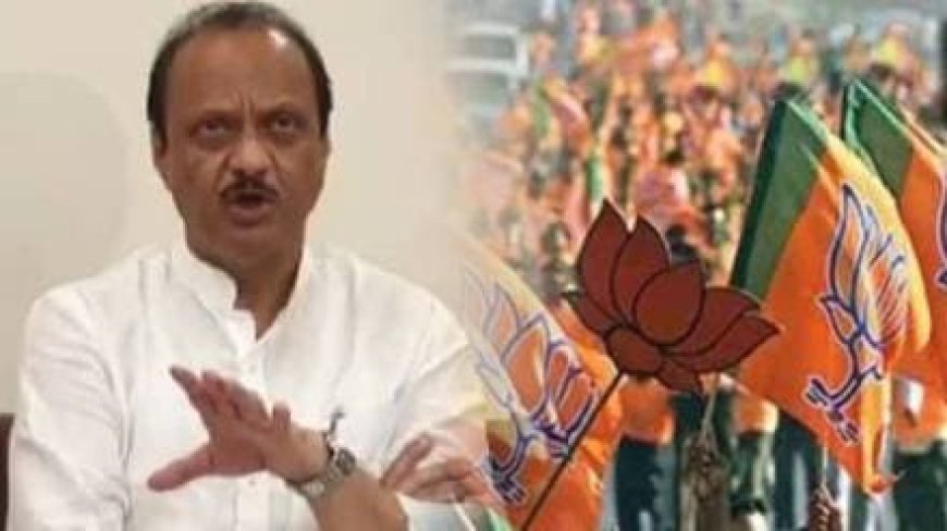 पश्‍चिम महाराष्ट्रातील भाजपा नेता दादांनी फोडला