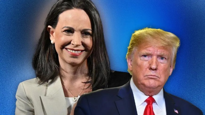 डोनाल्ड ट्रम्पला डंख; शांततेचं नोबेल नाहीच!