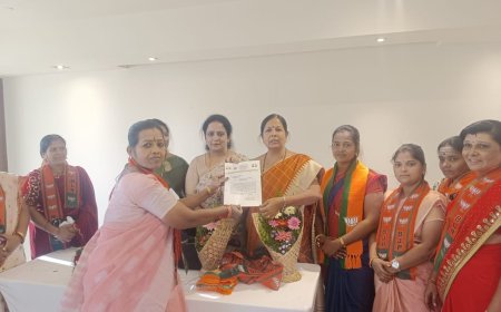 माजी नगरसेविका राजश्री चव्हाण यांचे पालकमंत्र्यांना साकडे