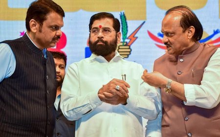 भाजपाचा सुंठीवाचून खोकला गेला, दादा-भाईंची फिफ्टी-फिफ्टी, ही खरीगेम..