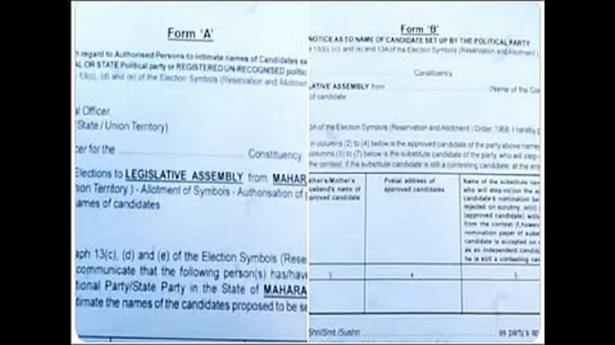 उमेदवाराचे भवितव्य ठरविणारे एबी फॉर्म आणि बेडूक़ उड्या