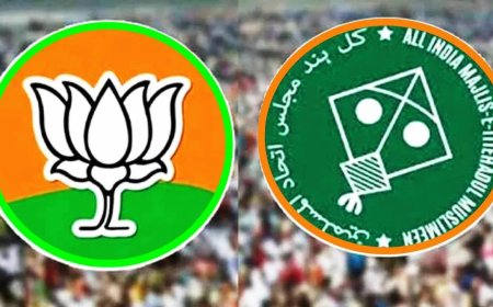 अखेर युती तुटली; फडणवीसांची नाराजी, प्रदेशाध्यक्षांकडून कारवाई,डॅमेज कंट्रोल!