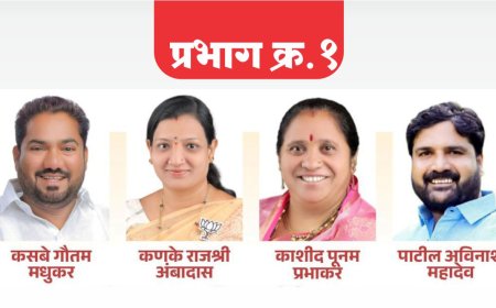 शेळगीत भाजपाच चलनी नाणे