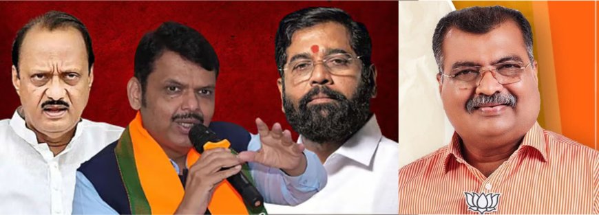 महायुती तुटल्यात जमा! प्रदेशाध्यक्ष रवींद्र चव्हाण म्हणाले, दादांमुळे आम्हाला पश्‍चाताप!!