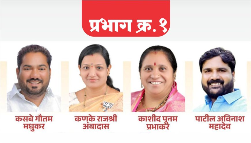 शेळगीत भाजपाच चलनी नाणे