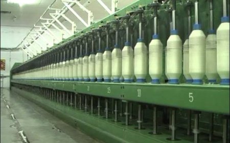 शरद, शारदासह ७ सहकारी कारखान्यांचा लिलाव