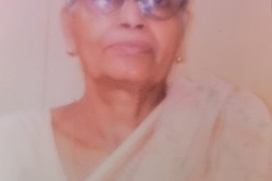 विहिंपच्या प्रभावती सारोळकर यांच्या स्मृत्यर्थ आज शिवस्मारकात शोकसभा