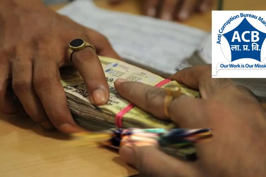 मोहोळमध्ये एसीबीचा सापळा; १० हजारांची लाच घेताना तलाठी रंगेहाथ अटक