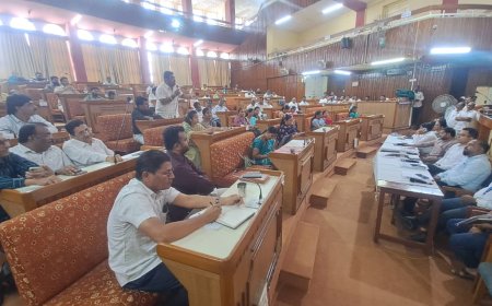 तब्बल 35 वर्षानंतर हद्दवाढच्या गुंठेवारीवर फैसला