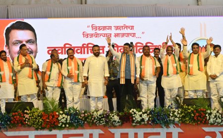 तुम्ही चुकलात तर, माफी नाही!  विजय विकासाचा : फडणवीस