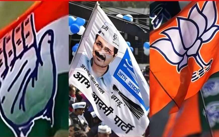 गुजरातमधील नव्या ७ मनपांवरही कमळ फुलले