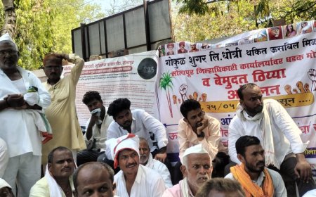 गोकुळ शुगरकडून शेतकर्‍यांची लूट, गोड उसाची, कडू कहाणी
