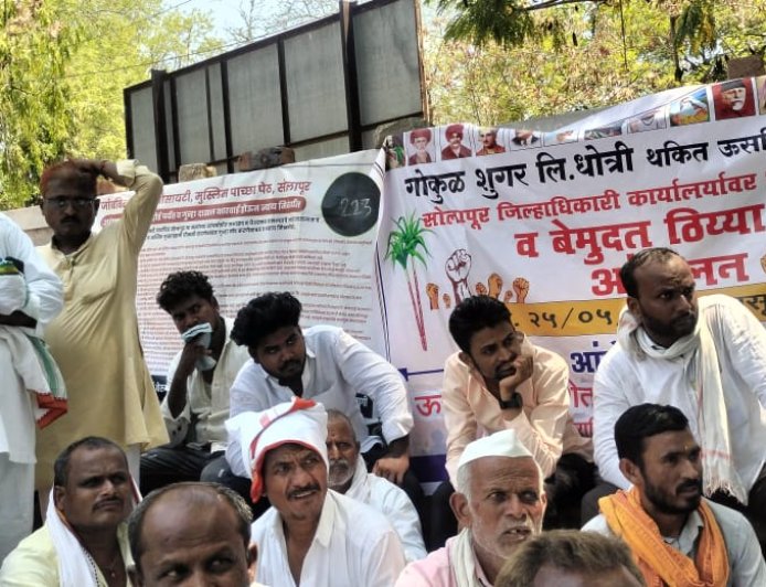 गोकुळ शुगरकडून शेतकर्‍यांची लूट, गोड उसाची, कडू कहाणी