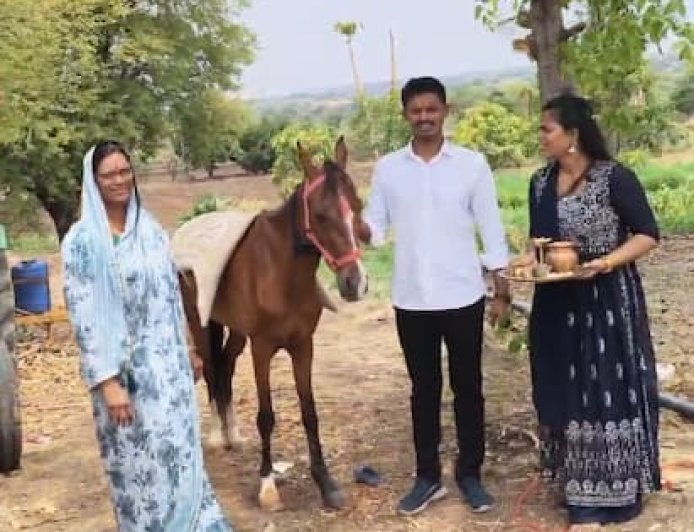 इंधनवर उतारा; अधिक मासात जावयाला घोडी गिफ्ट