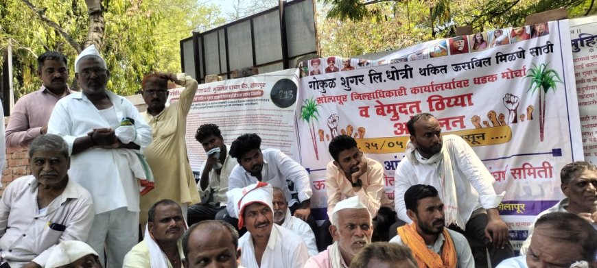 गोकुळ शुगरकडून शेतकर्‍यांची लूट, गोड उसाची, कडू कहाणी