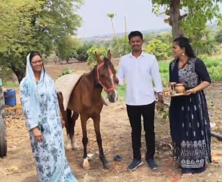 इंधनवर उतारा; अधिक मासात जावयाला घोडी गिफ्ट