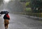 Monsoon Update : कोरड्या वाऱ्यांमुळे मान्सून रखडला; मुंबईत उष्णतेचा कहर