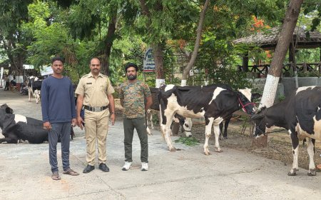 संशयित कत्तलखान्यातून २१ जनावरांची सुटका