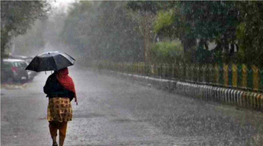 Monsoon Update : कोरड्या वाऱ्यांमुळे मान्सून रखडला; मुंबईत उष्णतेचा कहर