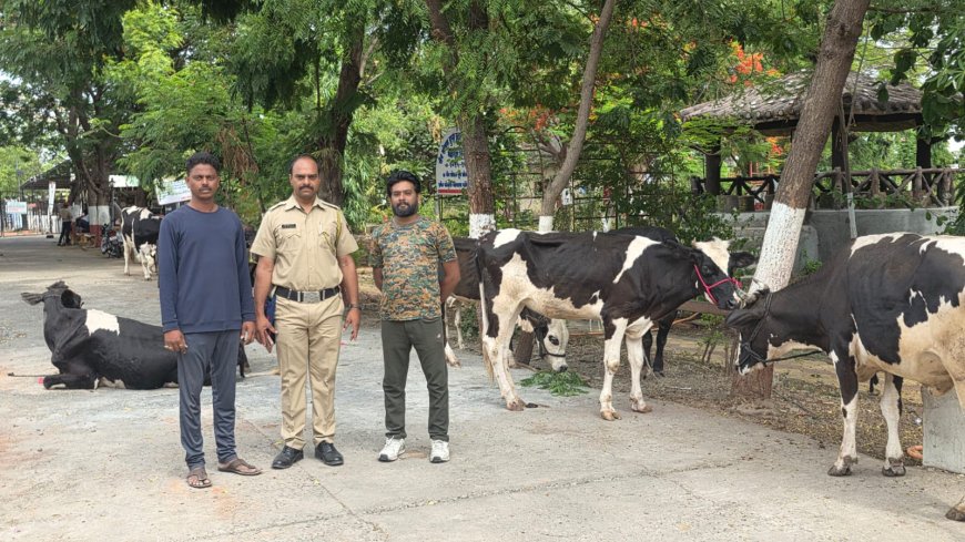 संशयित कत्तलखान्यातून २१ जनावरांची सुटका