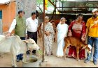 जैन सोशल ग्रुप सेंट्रलतर्फे गोधन विकास गोशाळेच्या पत्राशेडचे उद्घाटन