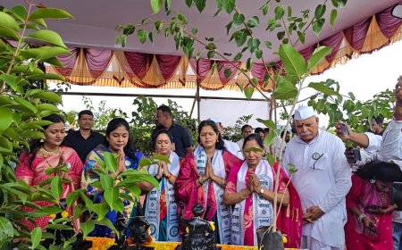 पर्यावरण रक्षक उपमहापौर ज्ञानेश्वरी देवकर यांचा वृक्षस्नेही निर्मल वारी, हरित वारी अभियान गौरव