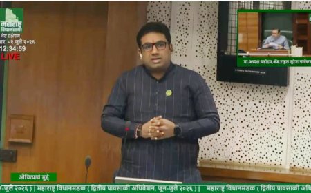 स्मार्ट मीटरमुळे वाढीव वीज बील; महावितरणची 'स्मार्ट' सक्ती नको, स्थगिती द्या!