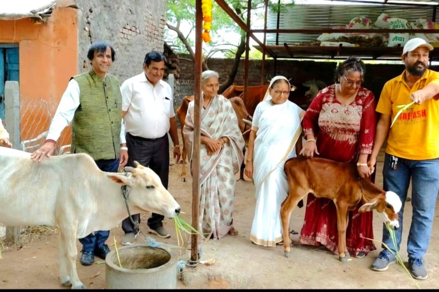 जैन सोशल ग्रुप सेंट्रलतर्फे गोधन विकास गोशाळेच्या पत्राशेडचे उद्घाटन