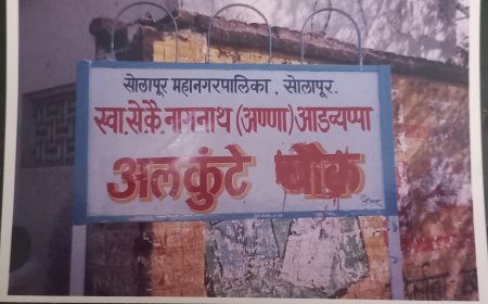 नामकरणावरून भाजप महिला नगरसेविकांचा सामना
